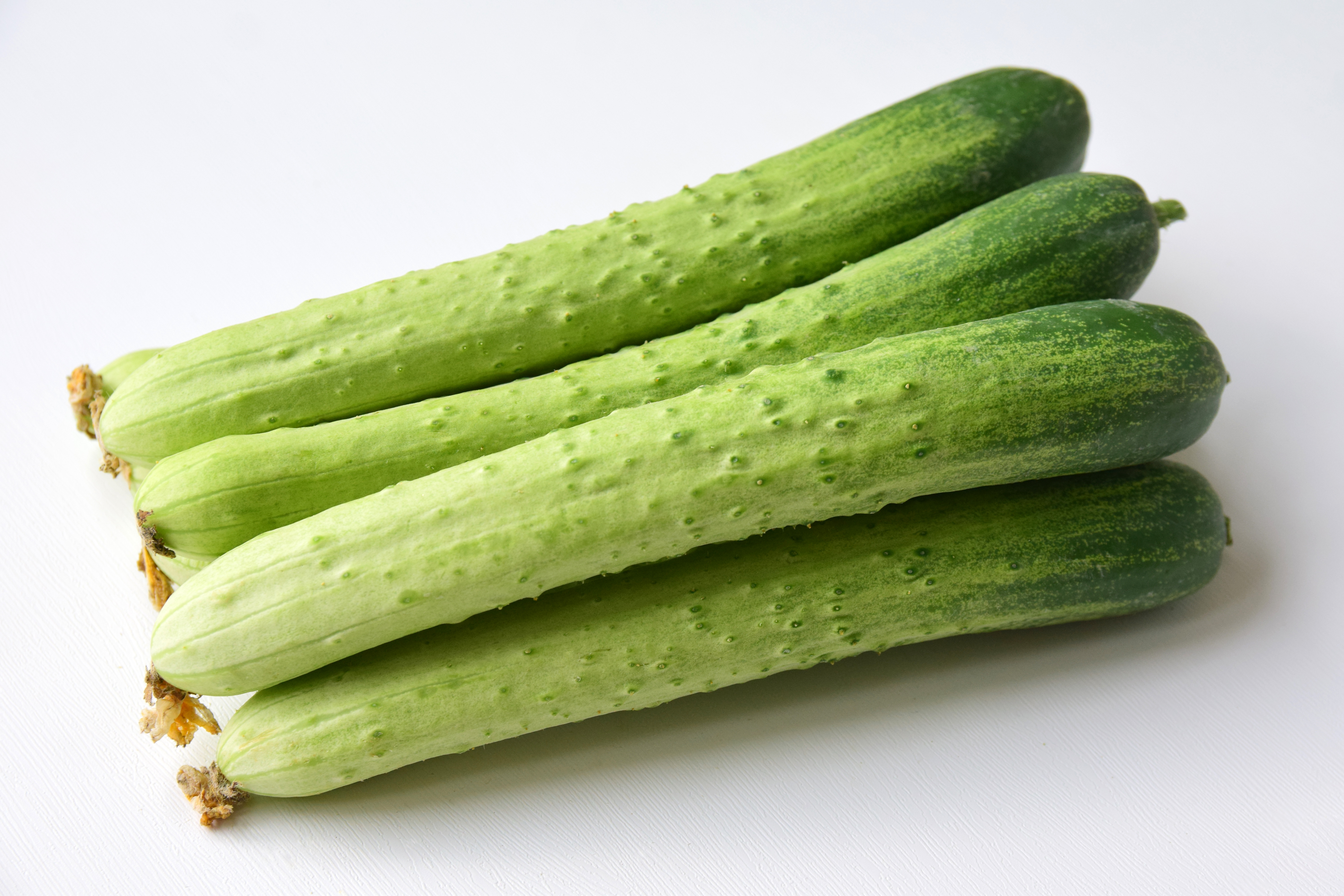 백오이 5kg