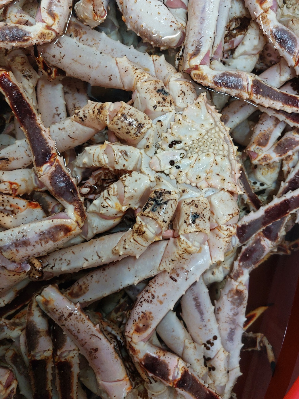 러시아 자숙 블루 킹크랩 블루 킹크랩 3.5kg