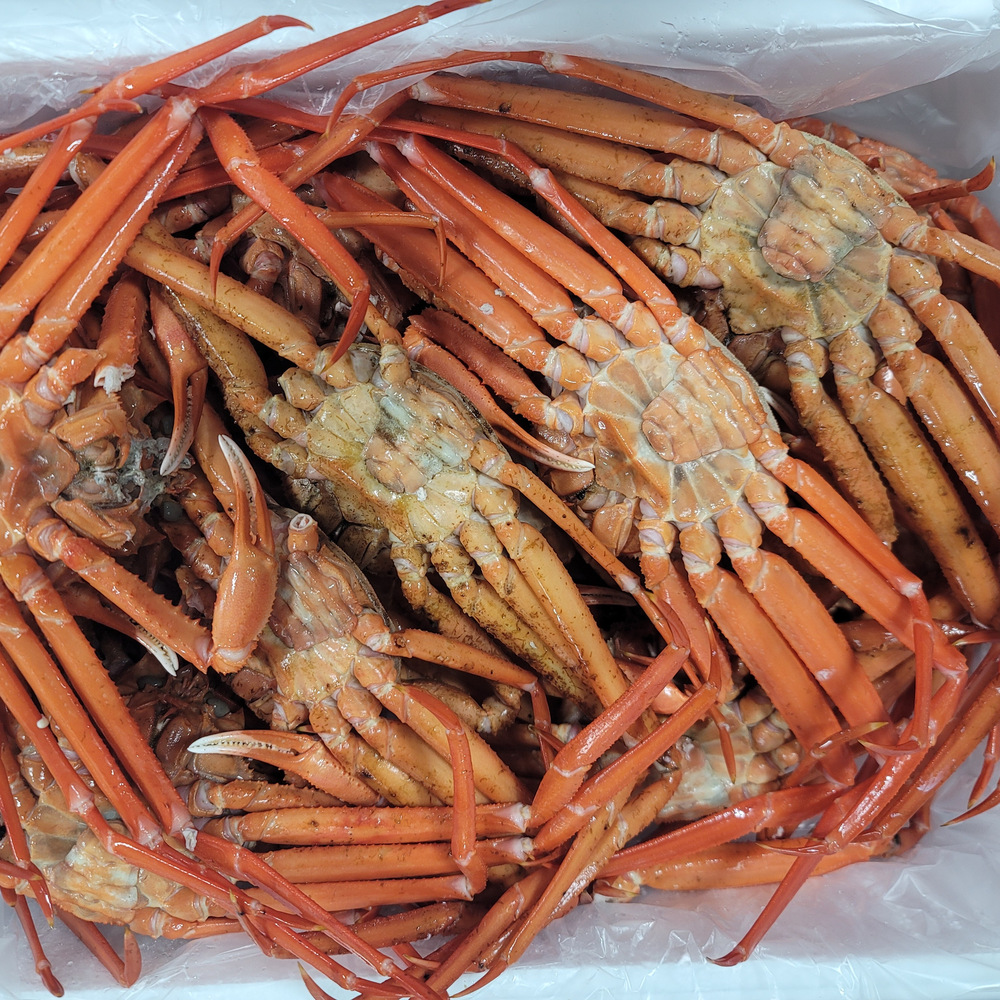 구룡포 자숙 홍게 4kg S급 8-11미
