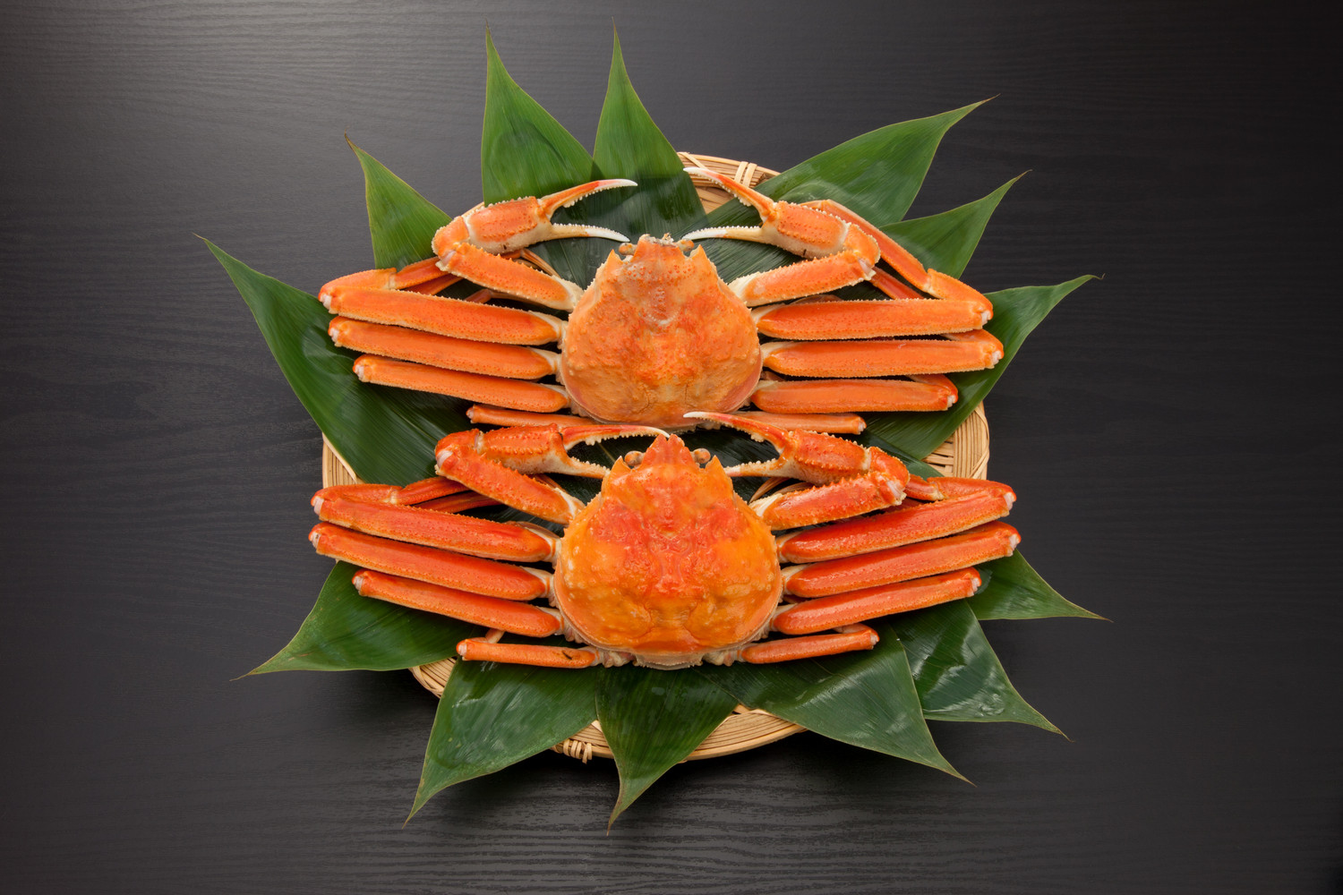 러시아 자숙 박달대게 러시아 자숙 대게 A급 1kg