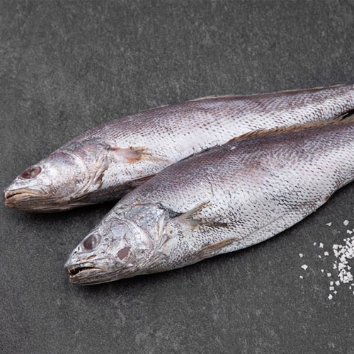 한올레 민어 3마리(400g/마리)
