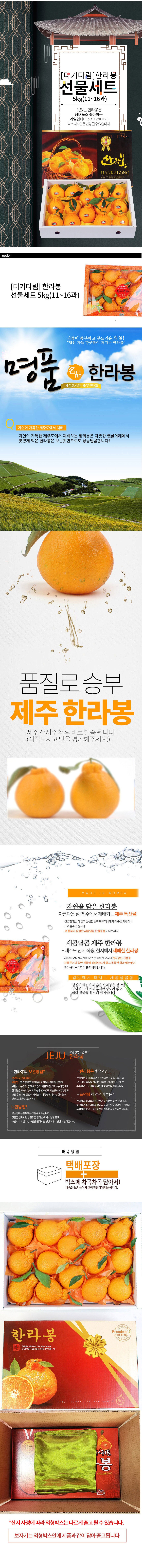 [더기다림 과일] 한라봉 선물세트 5kg(11~16과)