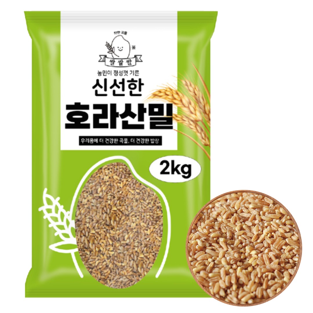 [나무컴퍼니] 터키산 프리미엄 특등급 호라산밀 2kg 호라산밀쌀 호라산밀가루 곡물 호라산밀밥짓기 건강곡물