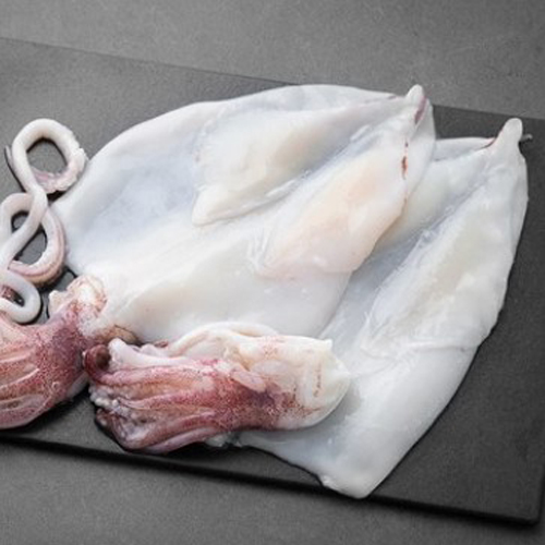 한올레 한치(냉동)2팩(400g/팩)